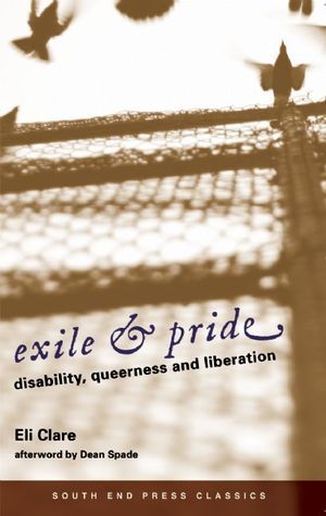 A book cover. The background is the photograph of a shadow of a chain link fence. Shadows of birds can also be seen flying on the fence. There is text in the lower half of the image. It reads:
The title "Exile & Pride" in curly, black, lowercase writing, 
The subtitle "Disability, Queerness and Liberation" immediately below this, in smaller, lowercase bold font. 
The author's name "Eli Clare" at the bottom of the page, 
The phrase "afterword by Dean Spade" immediately below this in smaller font. 
There is a red strip across the length of the bottom of the book. It has text in it which reads:
"South End Press Classics" in white capitals. /end